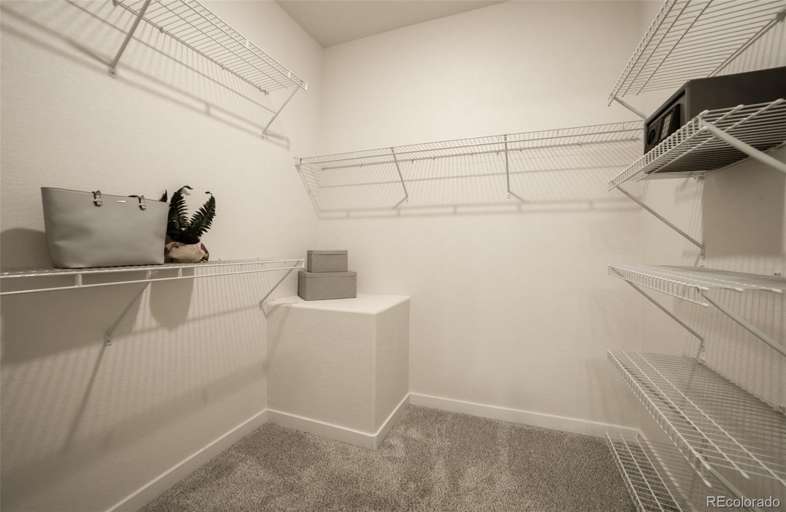 MLS Image #16 for 5379  wagon hammer drive,colorado springs, Colorado