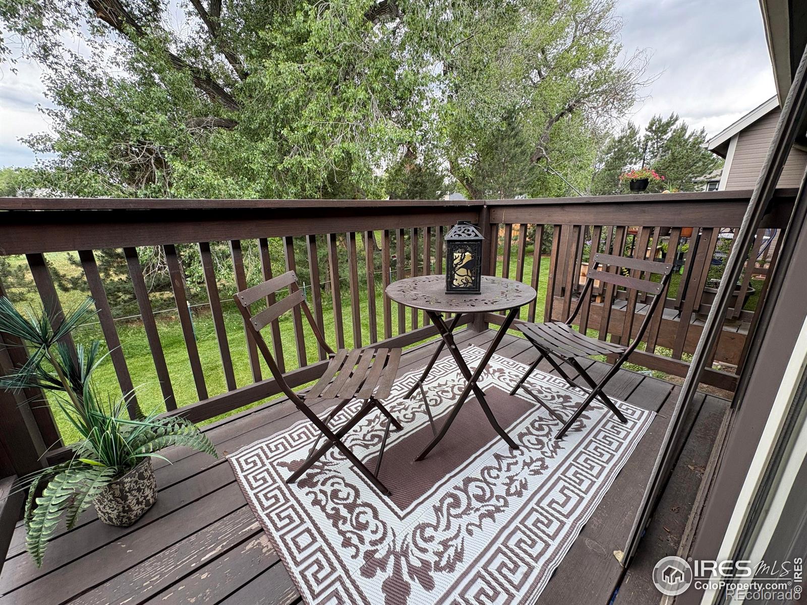 MLS Image #12 for 1231 w swallow road,fort collins, Colorado