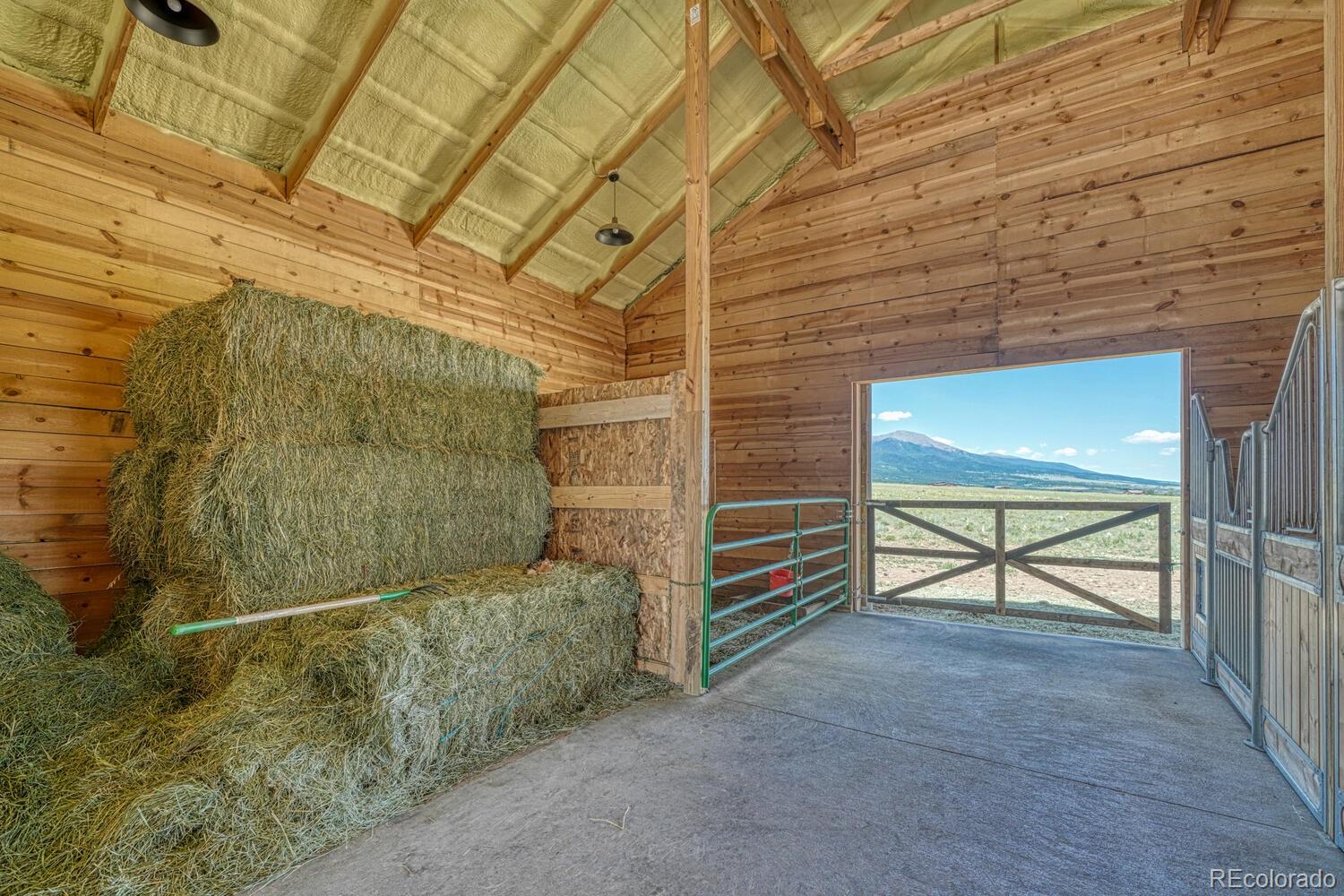MLS Image #35 for 143  jester court,westcliffe, Colorado