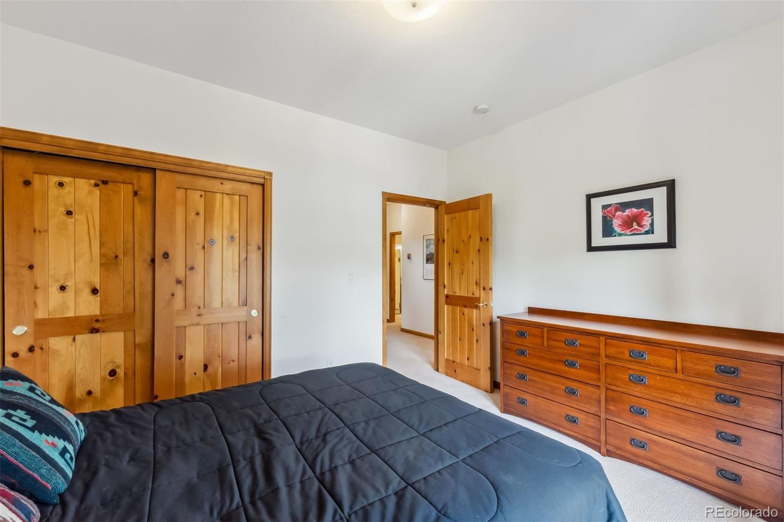 MLS Image #18 for 129  lookout ridge drive,dillon, Colorado
