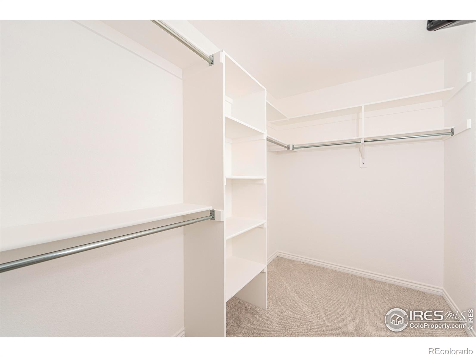 MLS Image #7 for 829  kane drive,longmont, Colorado