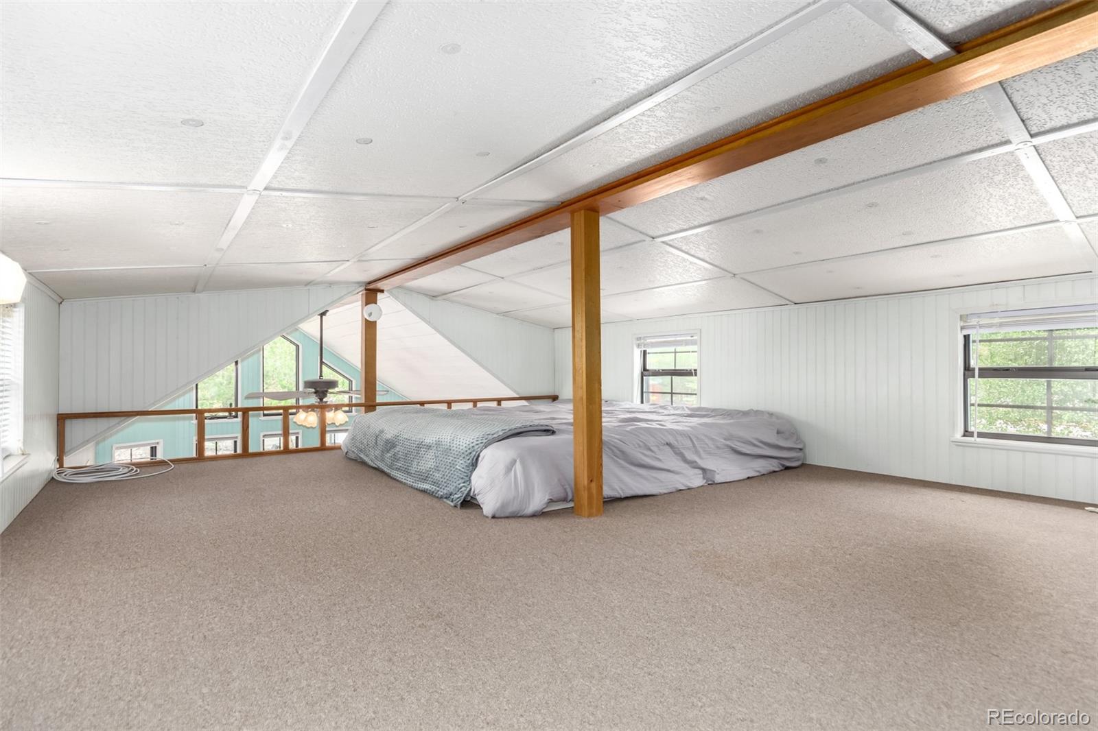 MLS Image #14 for 85  revett drive,breckenridge, Colorado