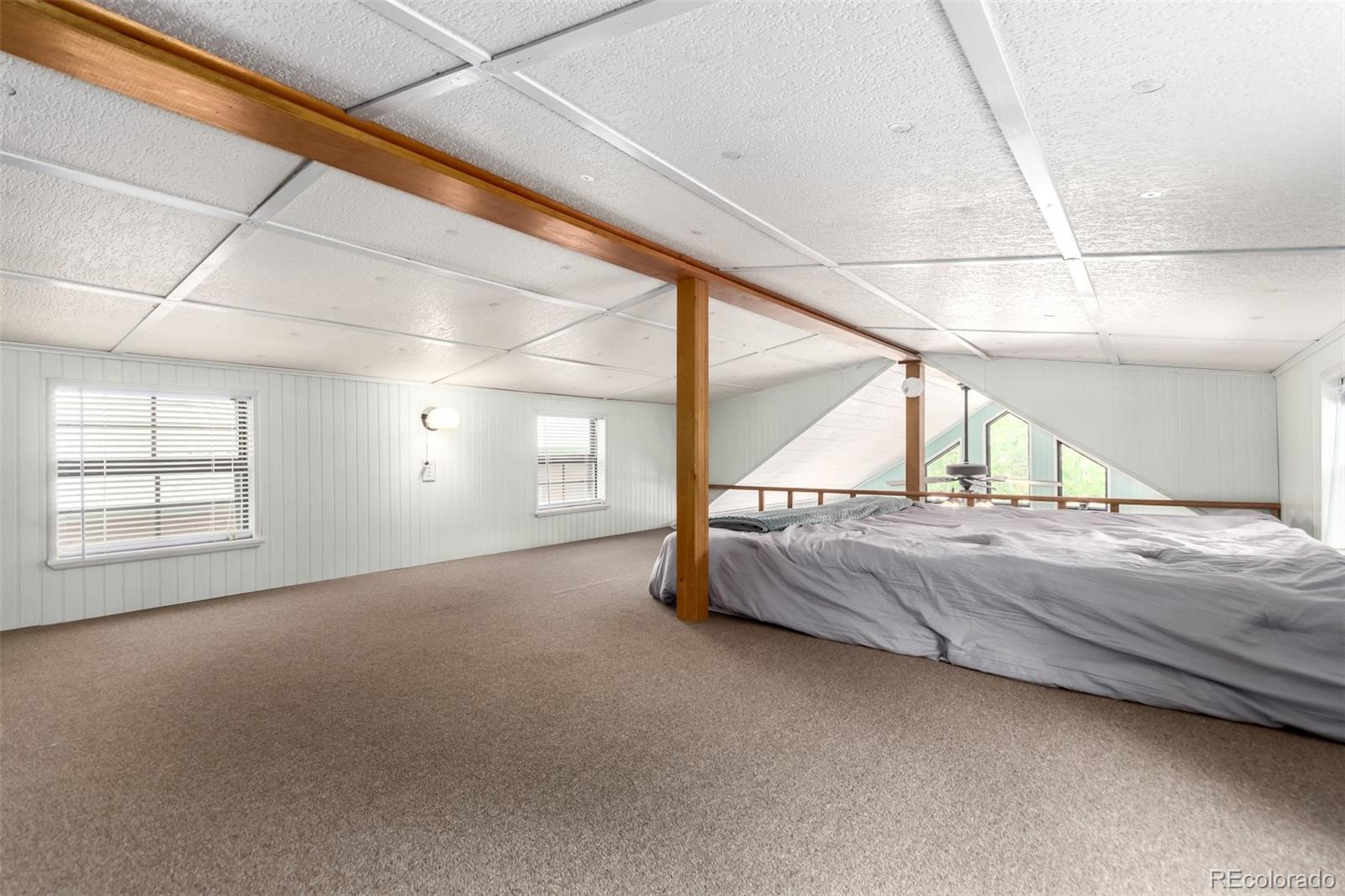 MLS Image #15 for 85  revett drive,breckenridge, Colorado