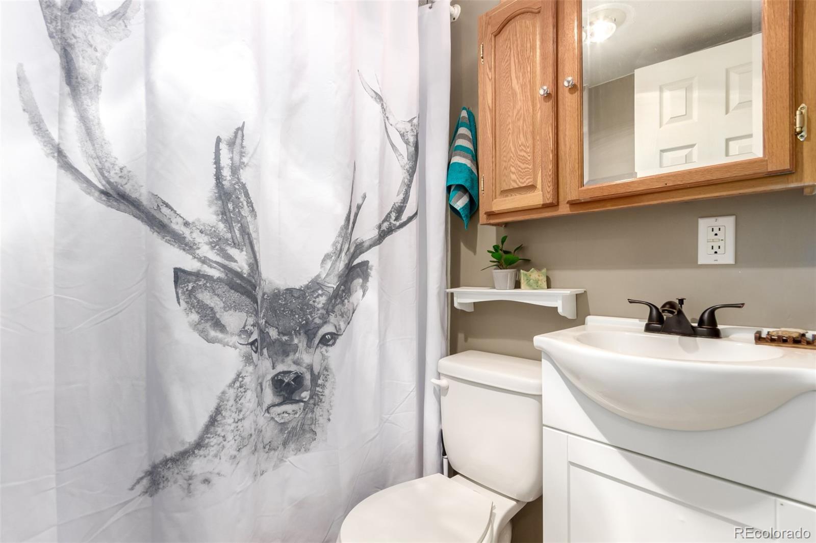 MLS Image #16 for 85  revett drive,breckenridge, Colorado