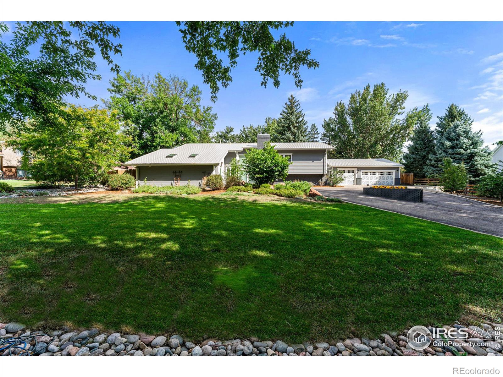 MLS Image #4 for 7451  rozena drive,longmont, Colorado