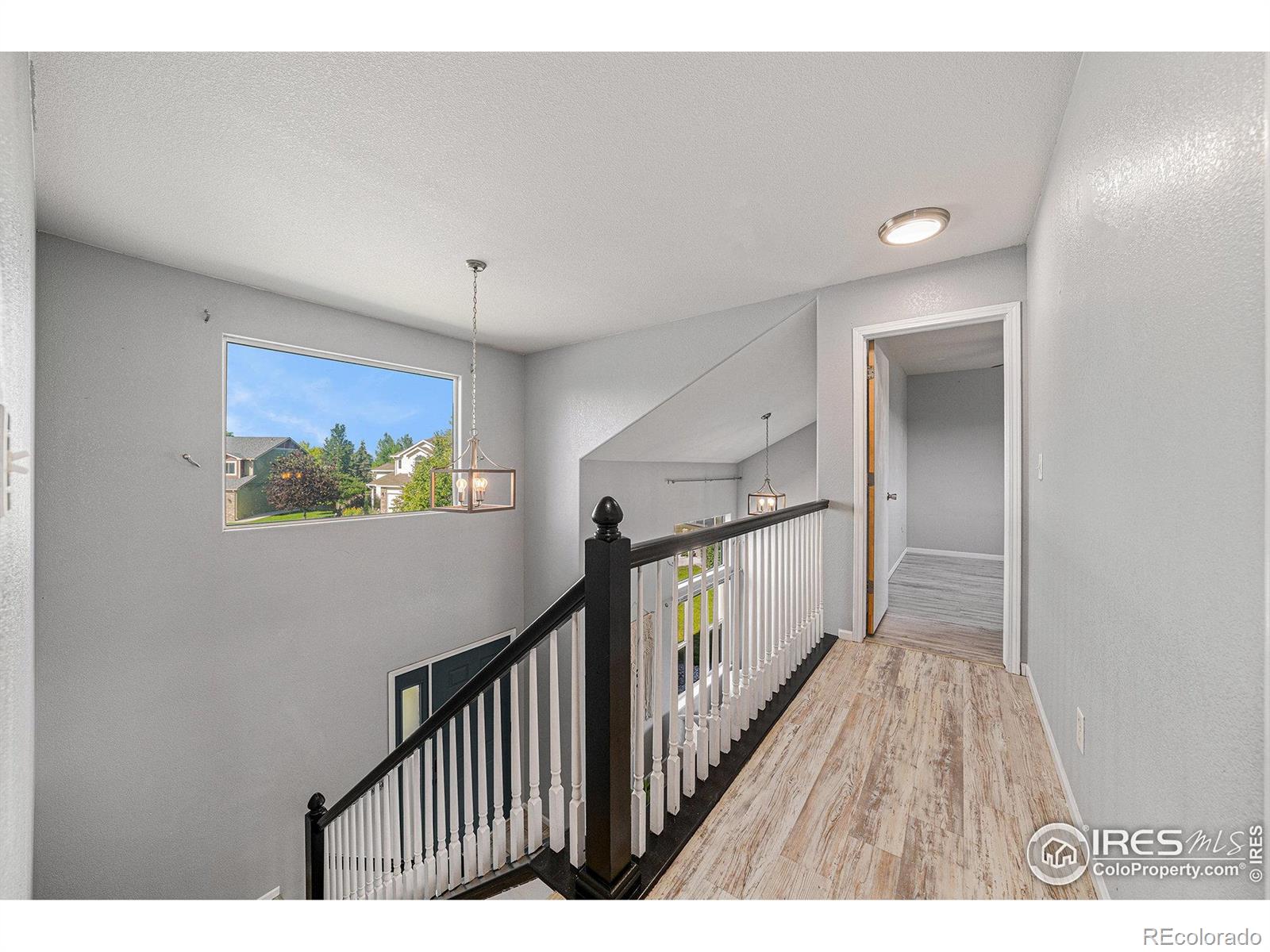 MLS Image #10 for 3281  belmont court,wellington, Colorado