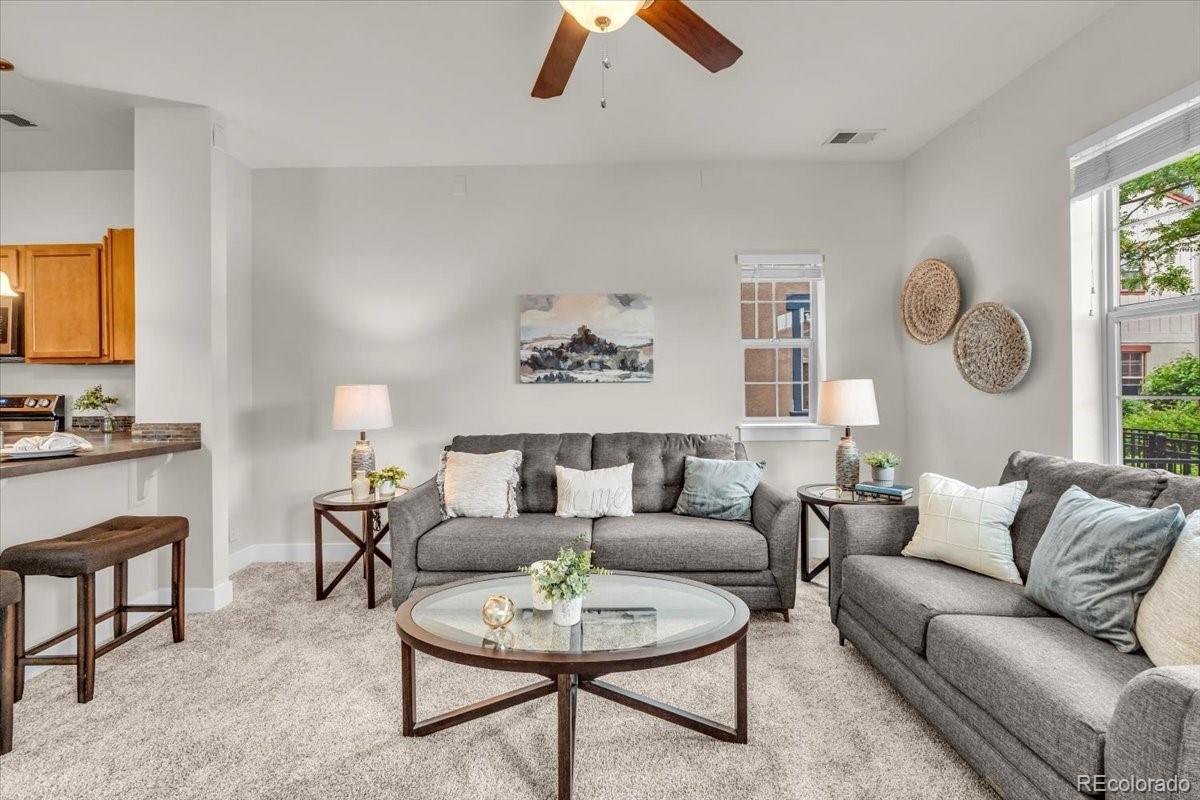 MLS Image #12 for 3372  central park boulevard,denver, Colorado