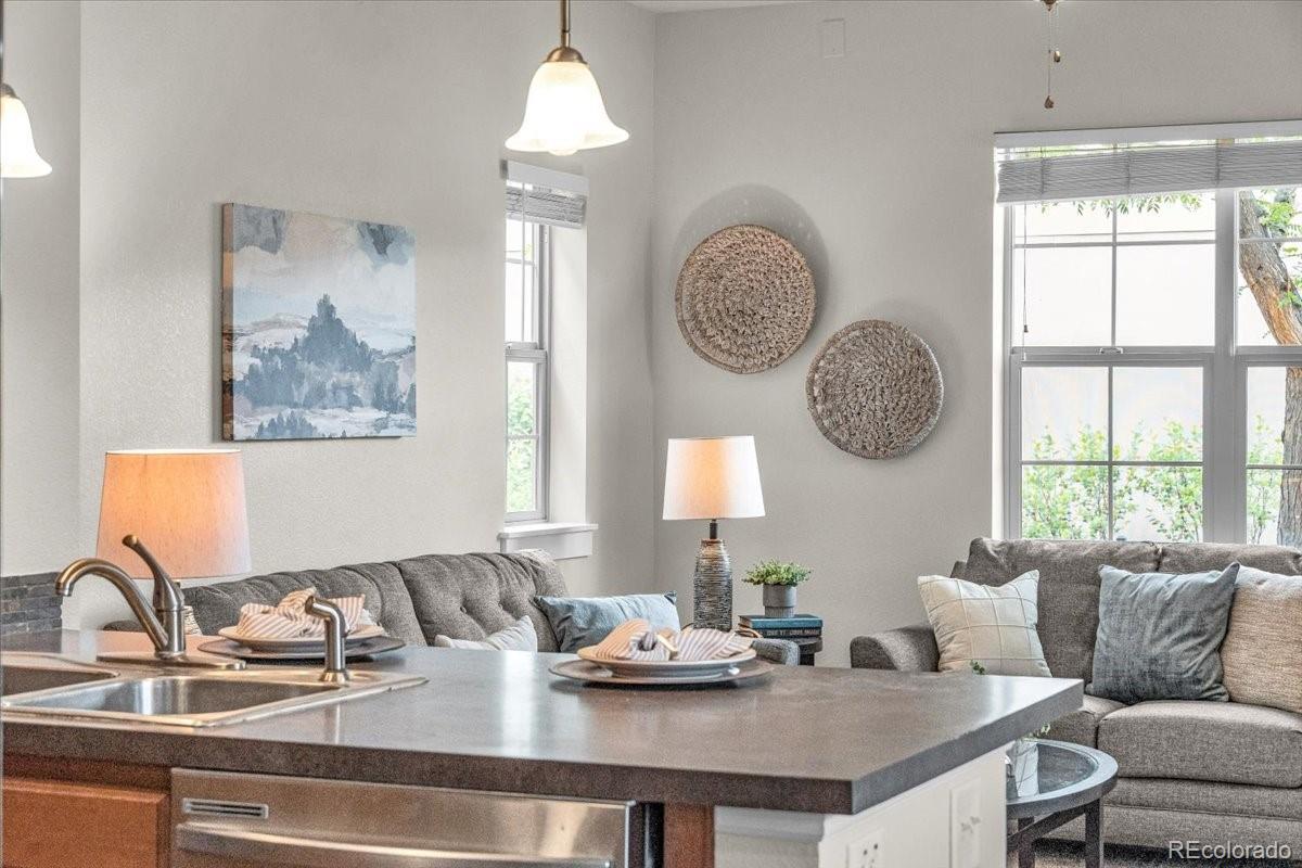 MLS Image #14 for 3372  central park boulevard,denver, Colorado
