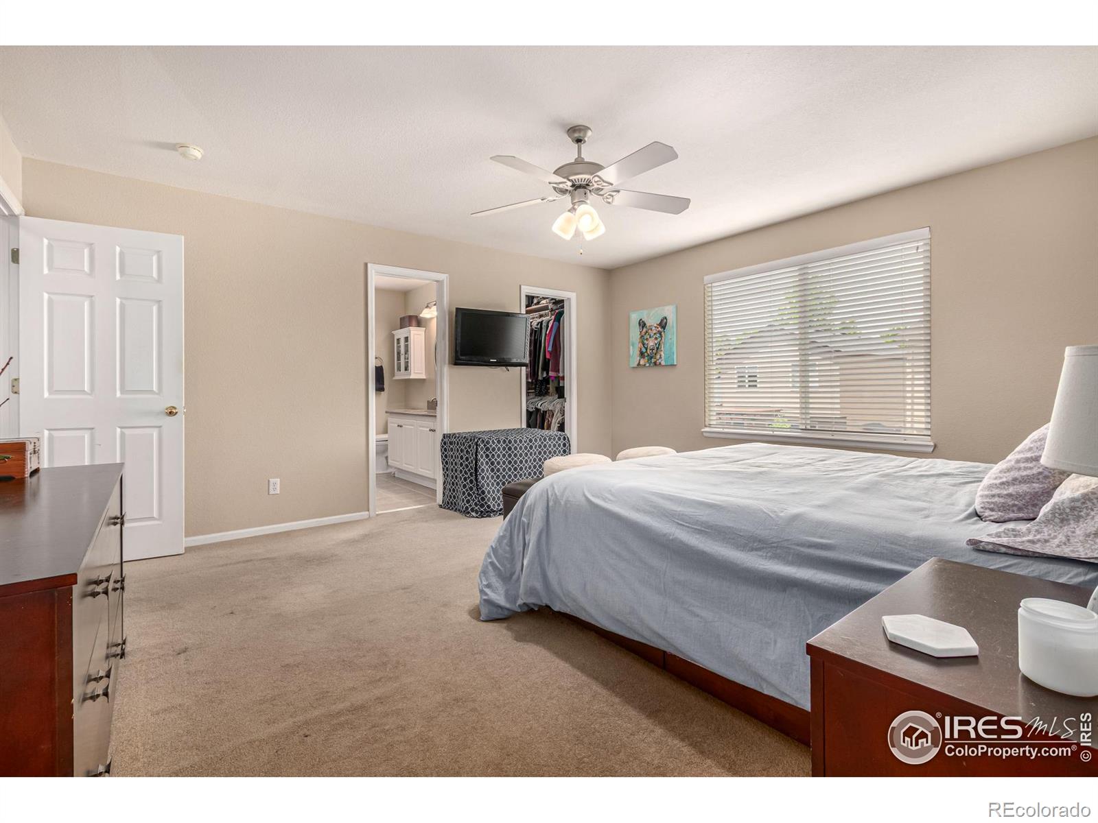 MLS Image #19 for 3101  goldeneye place,superior, Colorado