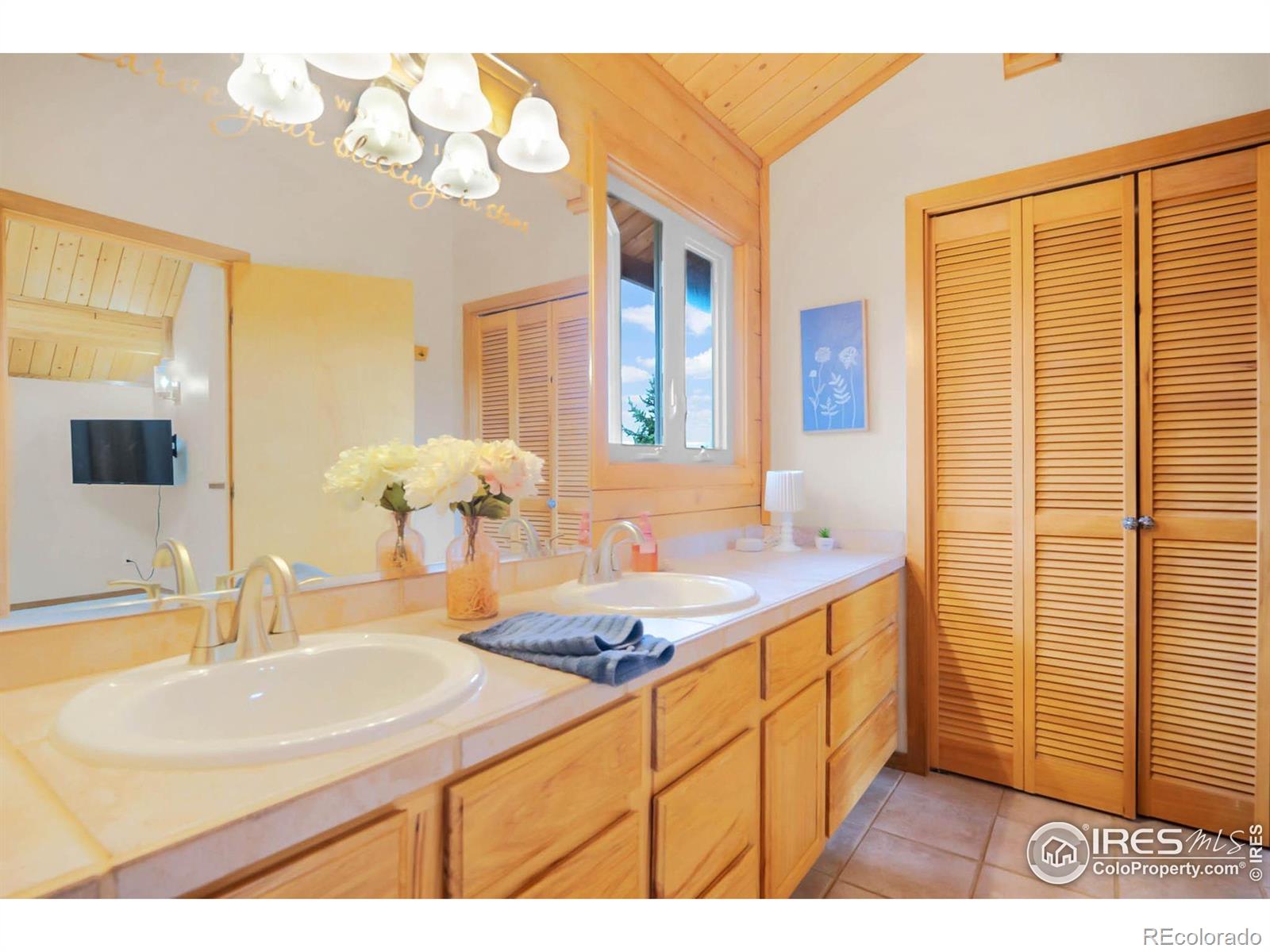 MLS Image #11 for 53  rocky vista court,livermore, Colorado