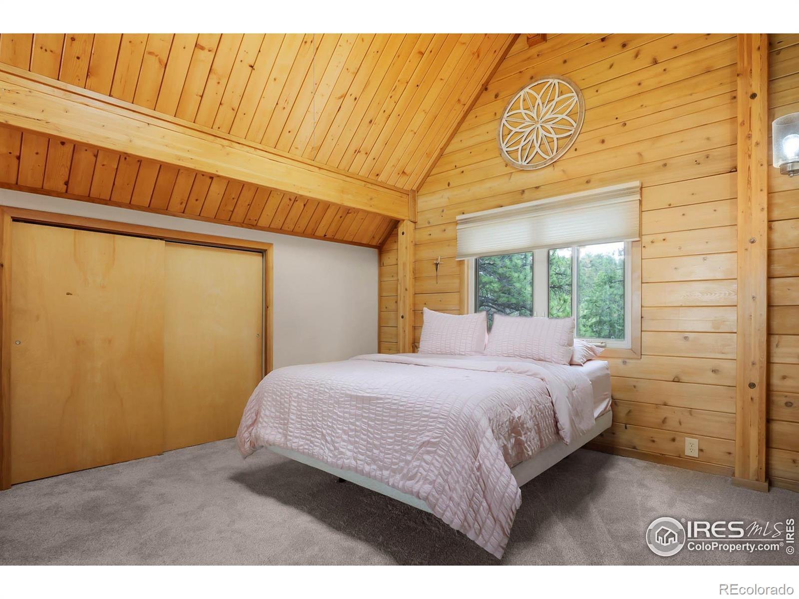 MLS Image #20 for 53  rocky vista court,livermore, Colorado