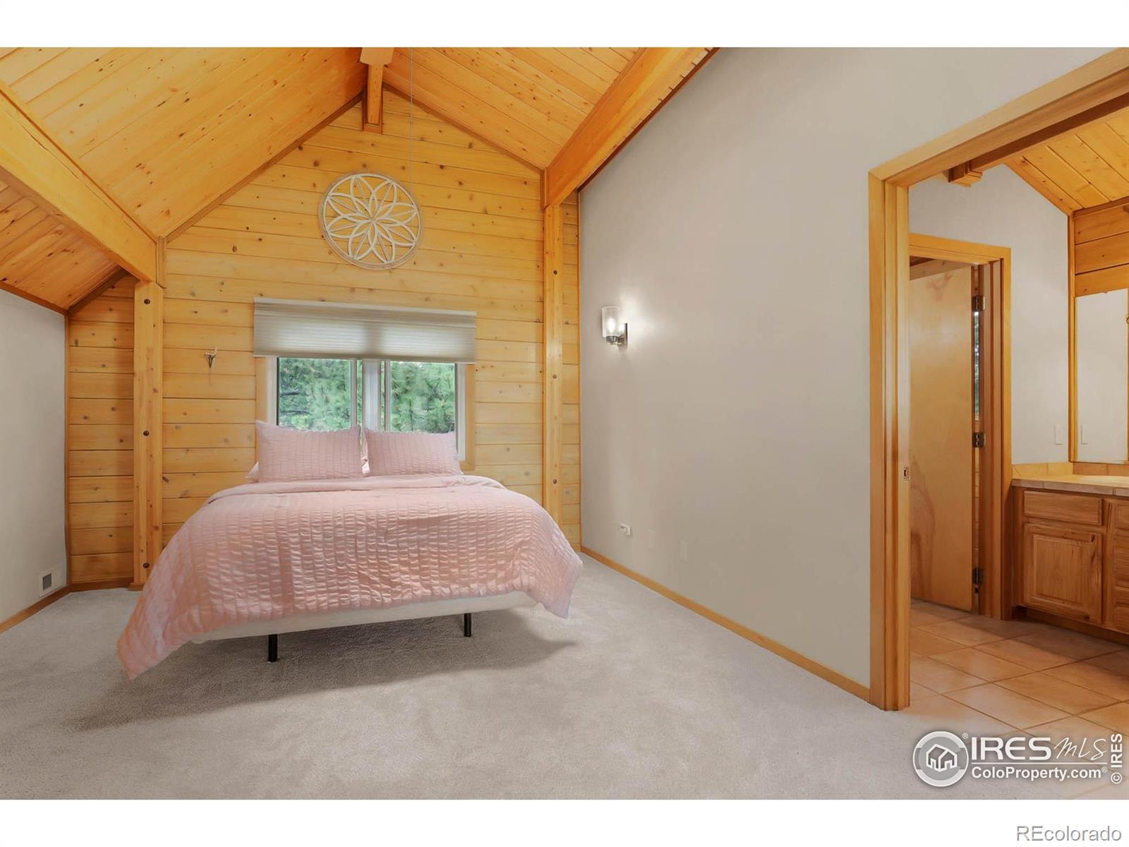 MLS Image #21 for 53  rocky vista court,livermore, Colorado