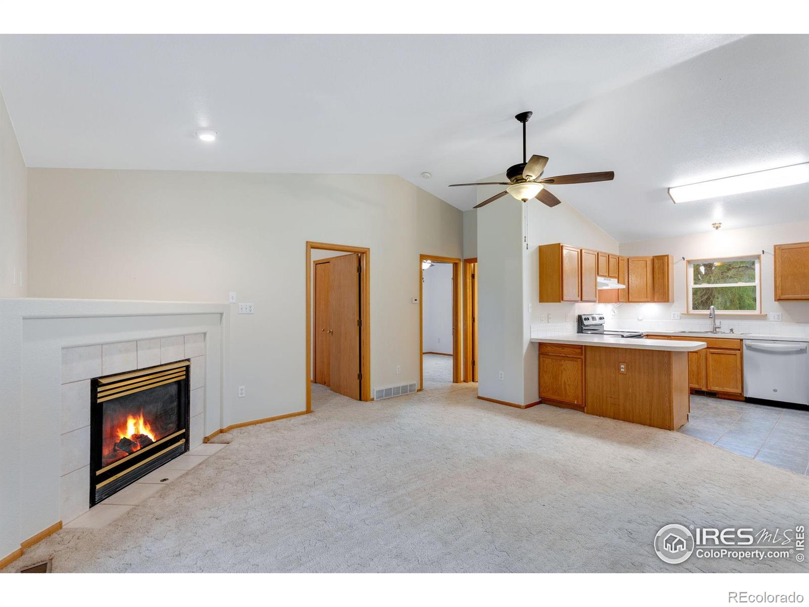MLS Image #5 for 527  ash avenue,ault, Colorado