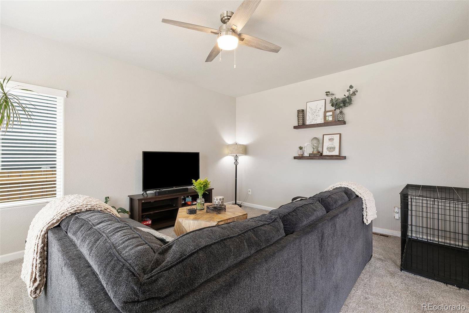 MLS Image #3 for 10416  castor drive,colorado springs, Colorado