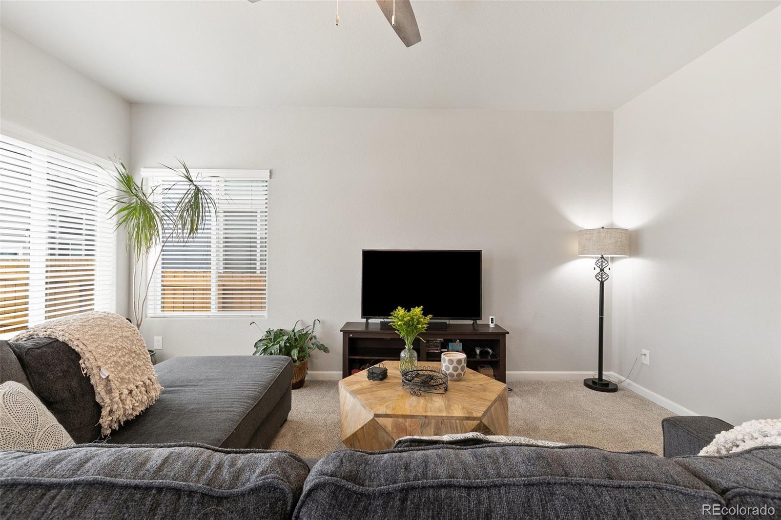 MLS Image #4 for 10416  castor drive,colorado springs, Colorado