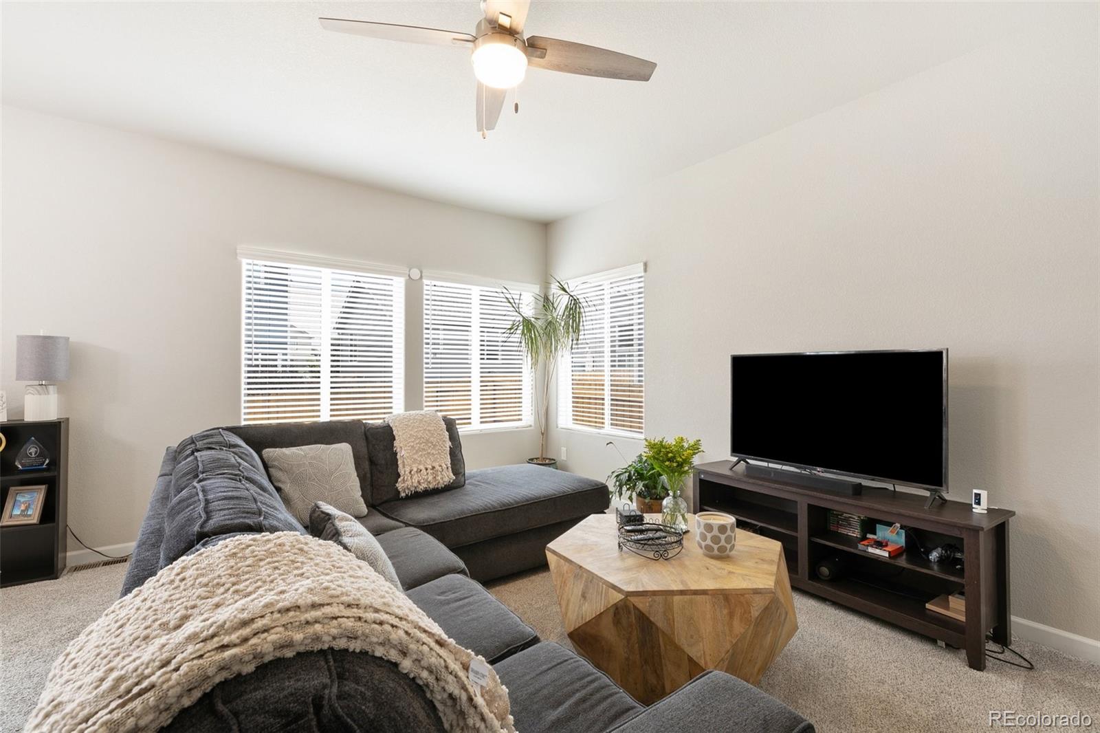 MLS Image #5 for 10416  castor drive,colorado springs, Colorado