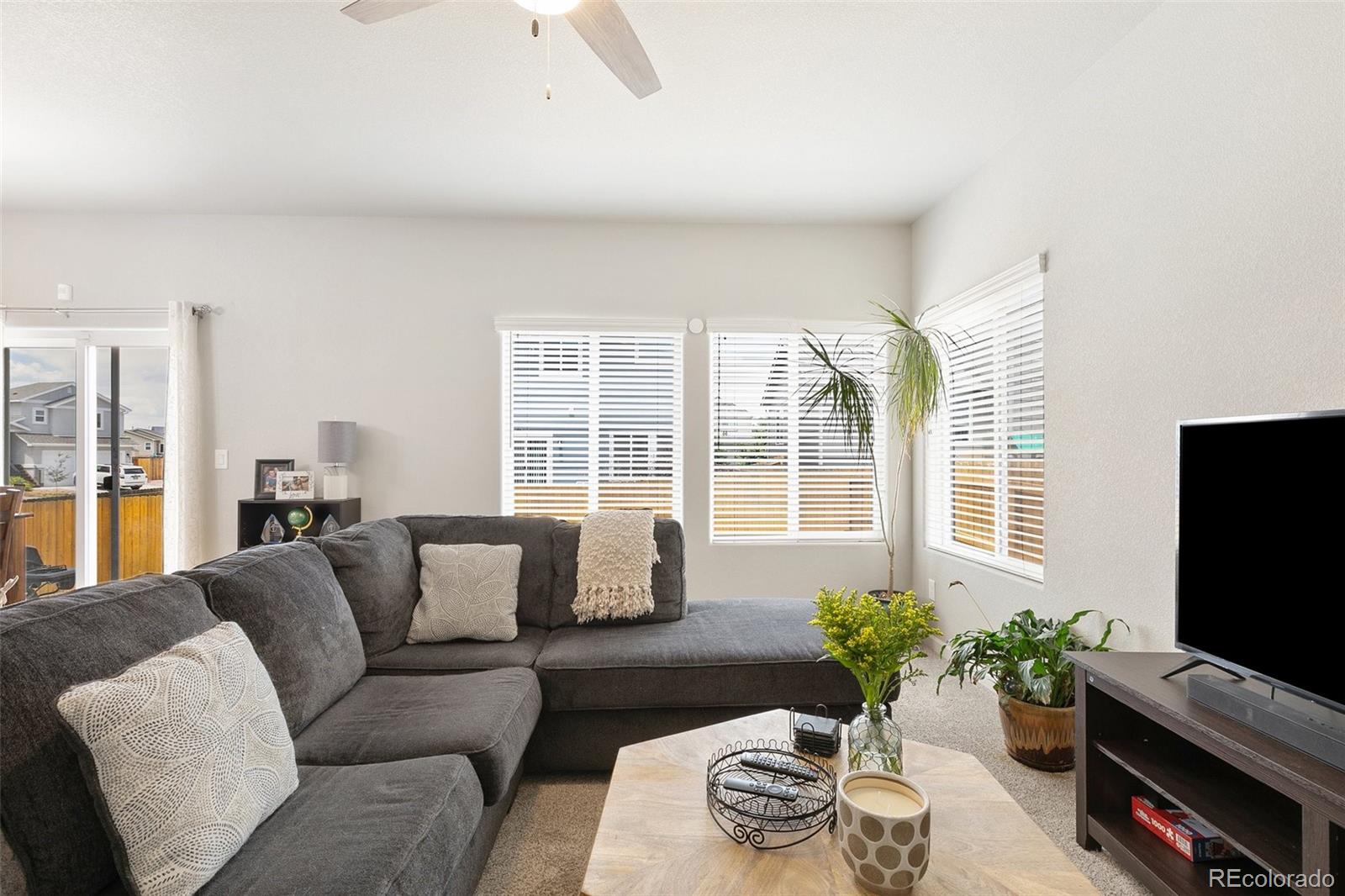 MLS Image #6 for 10416  castor drive,colorado springs, Colorado