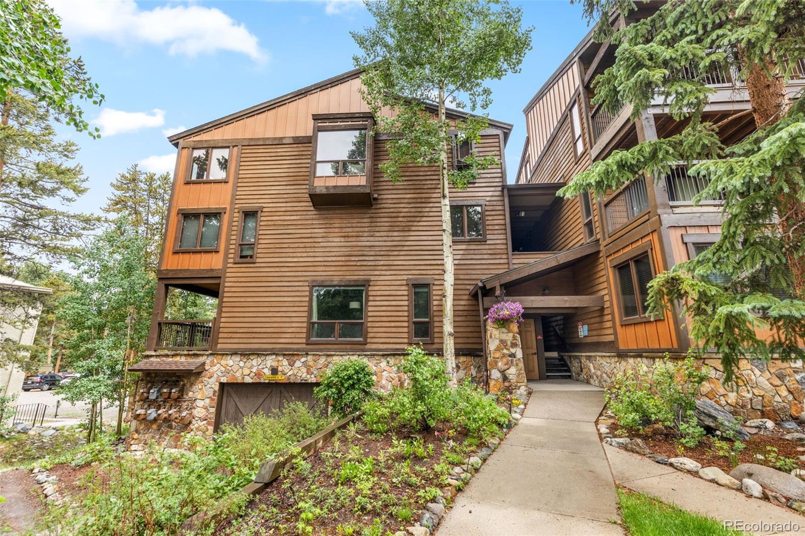 MLS Image #14 for 180  broken lance drive,breckenridge, Colorado