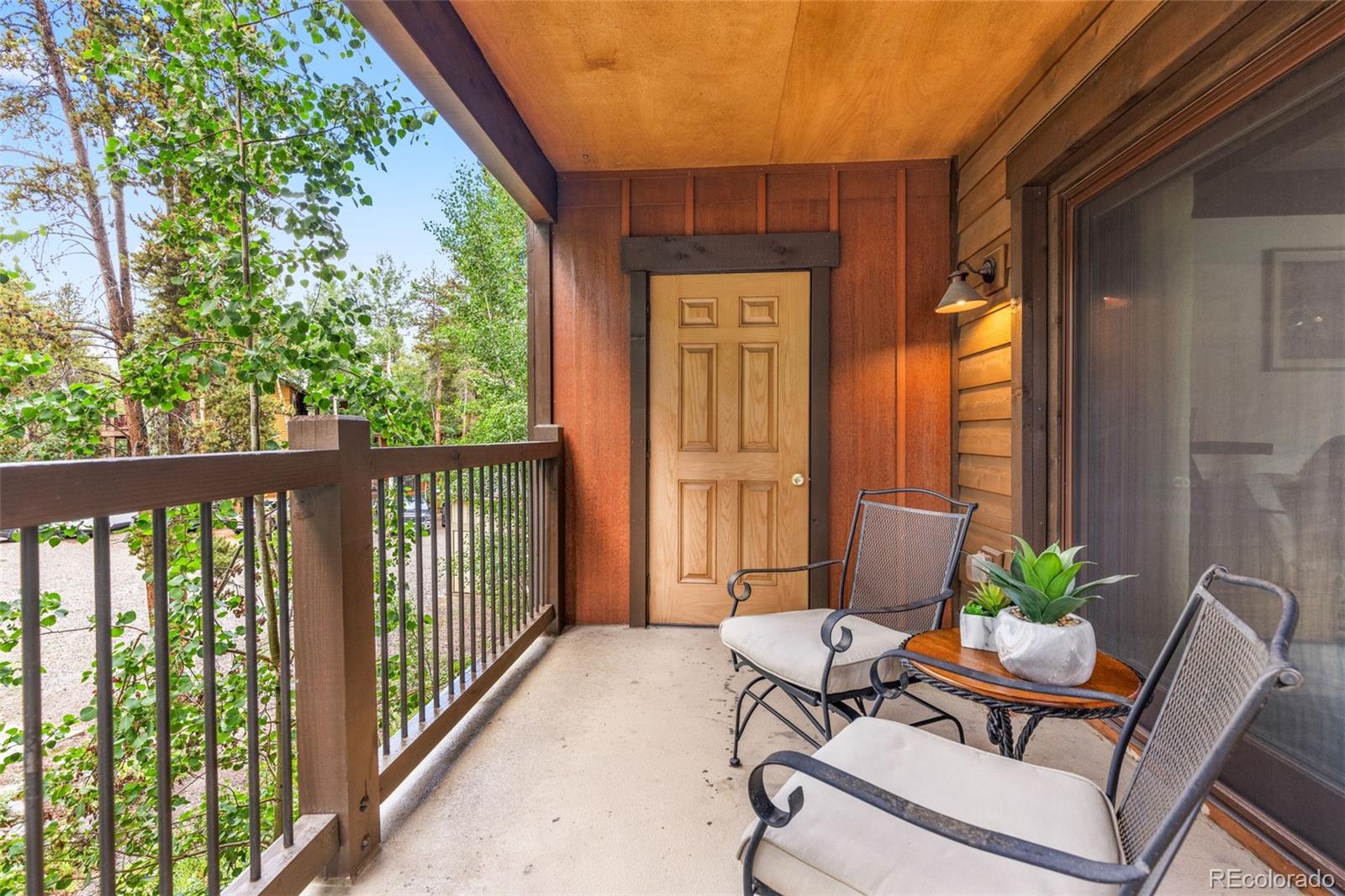 MLS Image #2 for 180  broken lance drive,breckenridge, Colorado