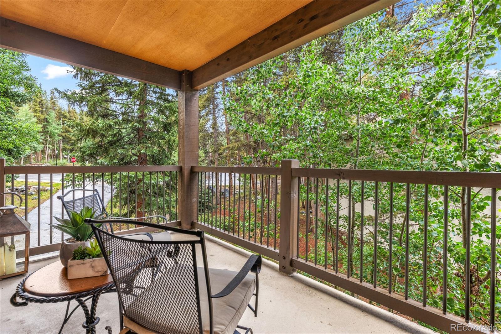 MLS Image #24 for 180  broken lance drive,breckenridge, Colorado