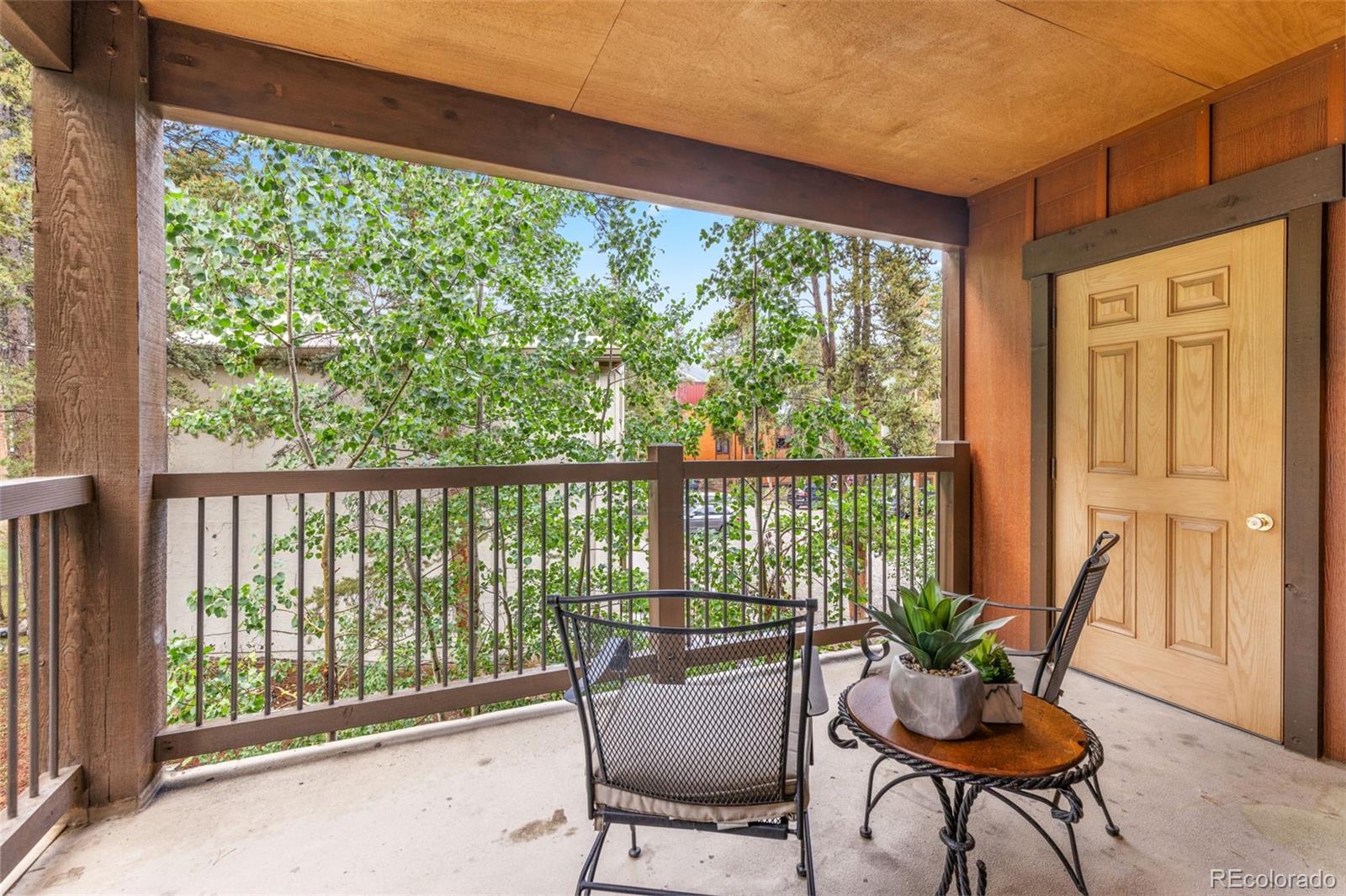 MLS Image #25 for 180  broken lance drive,breckenridge, Colorado