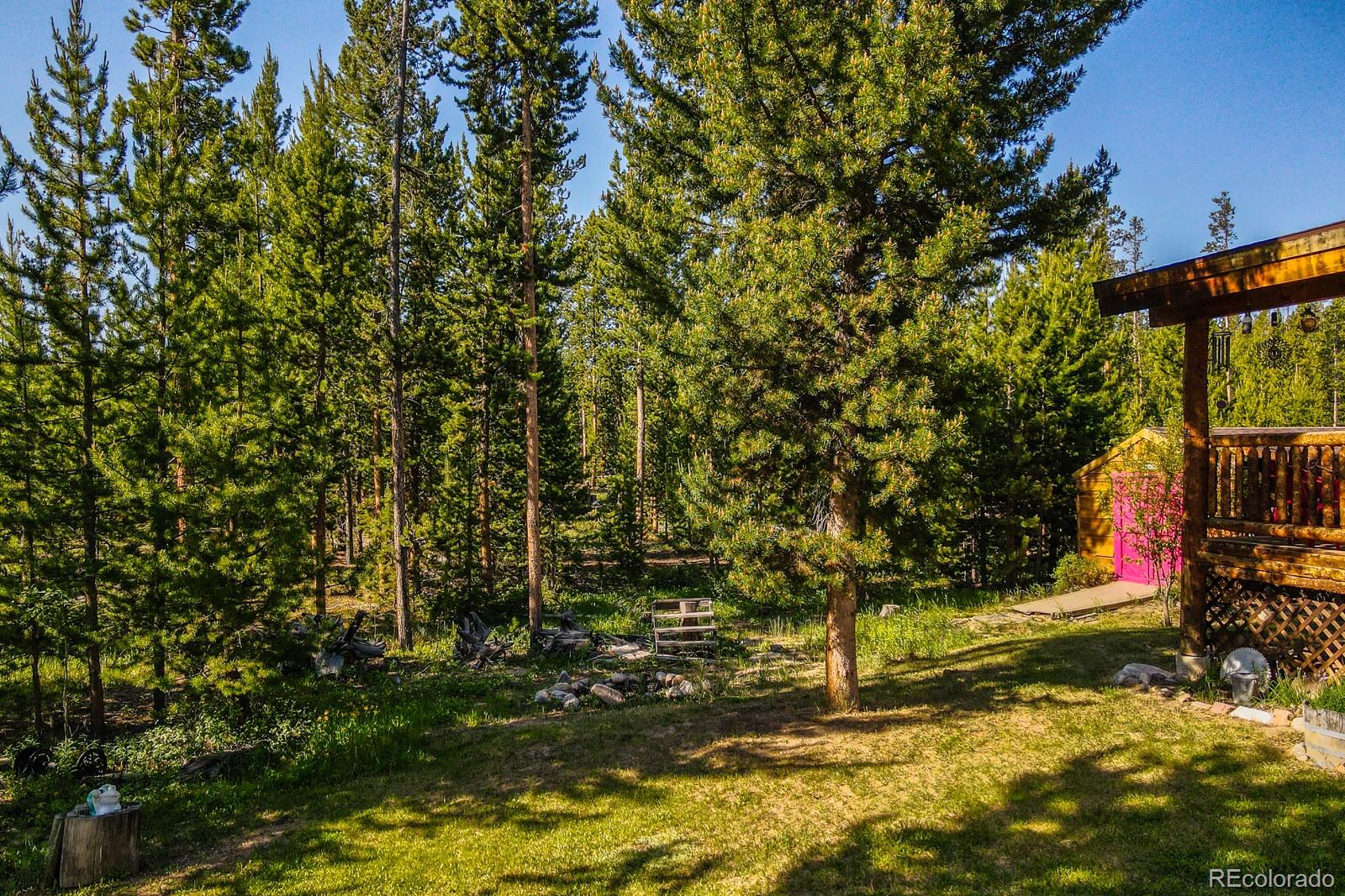 MLS Image #20 for 755  county road 462 ,grand lake, Colorado