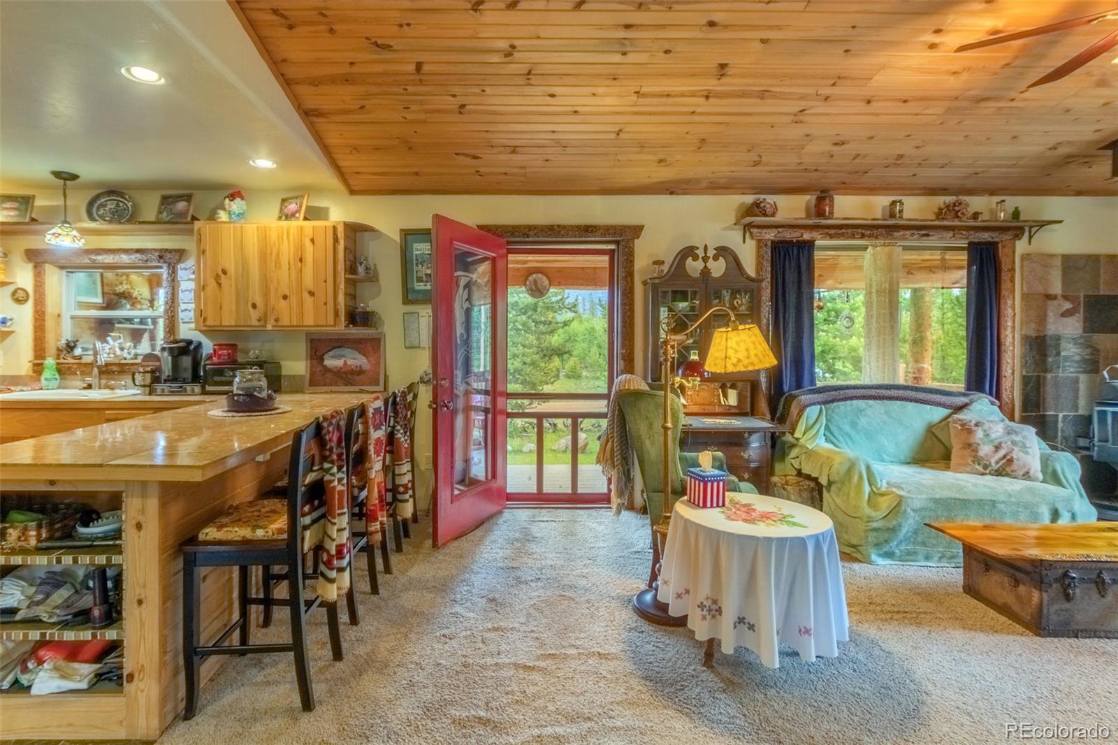 MLS Image #3 for 755  county road 462 ,grand lake, Colorado
