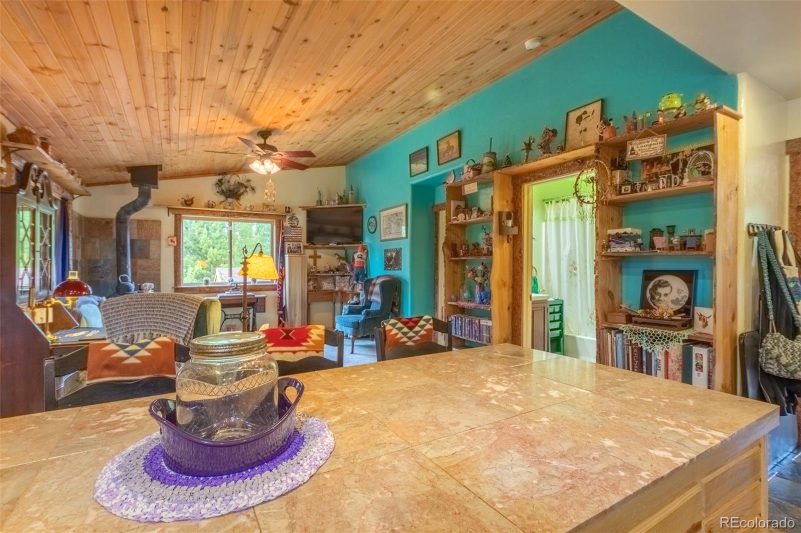MLS Image #8 for 755  county road 462 ,grand lake, Colorado