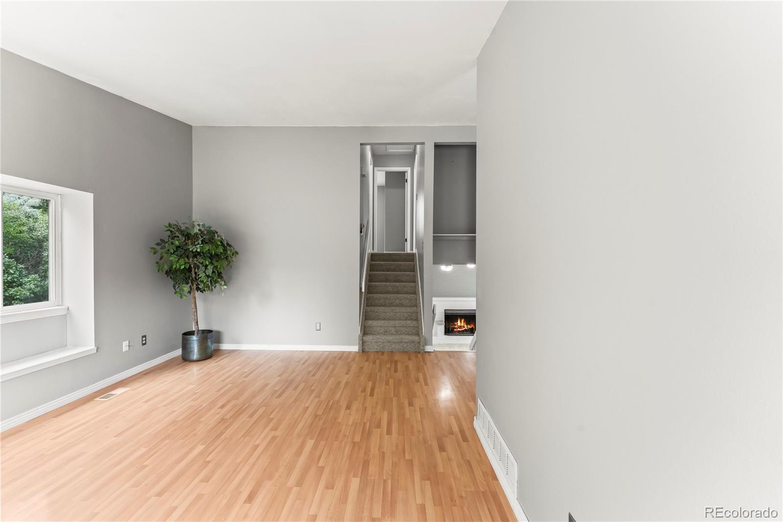 MLS Image #11 for 3645  trailhill place,colorado springs, Colorado