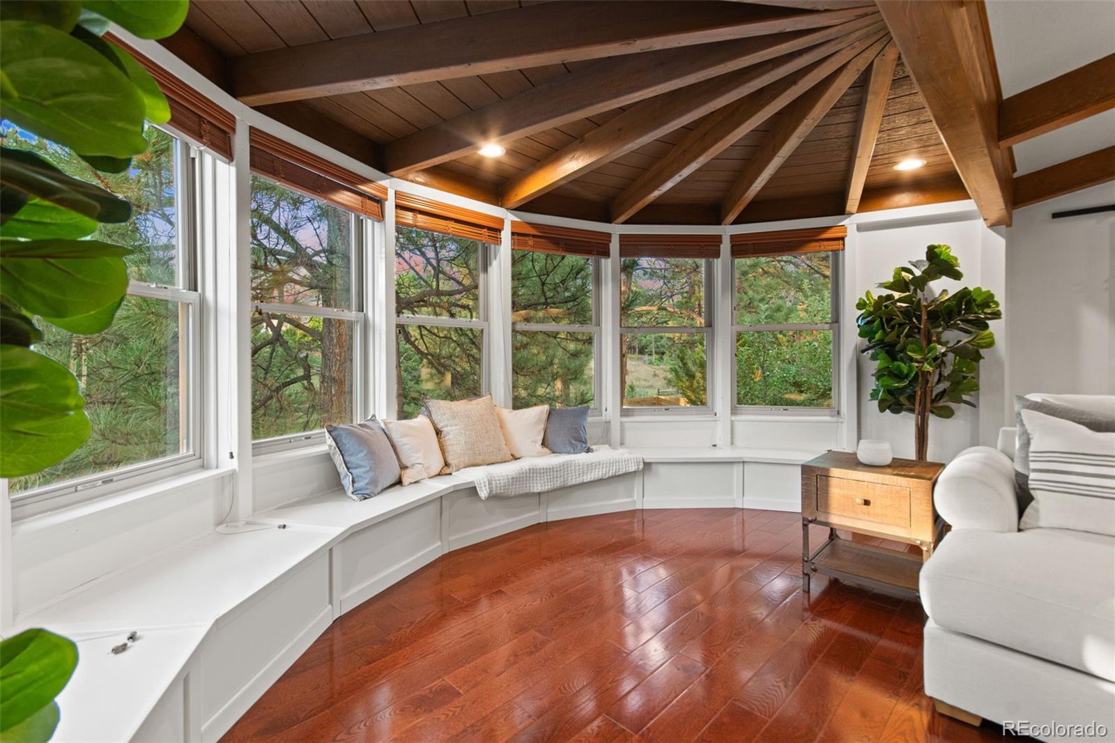 MLS Image #10 for 8453  lightening view drive,parker, Colorado