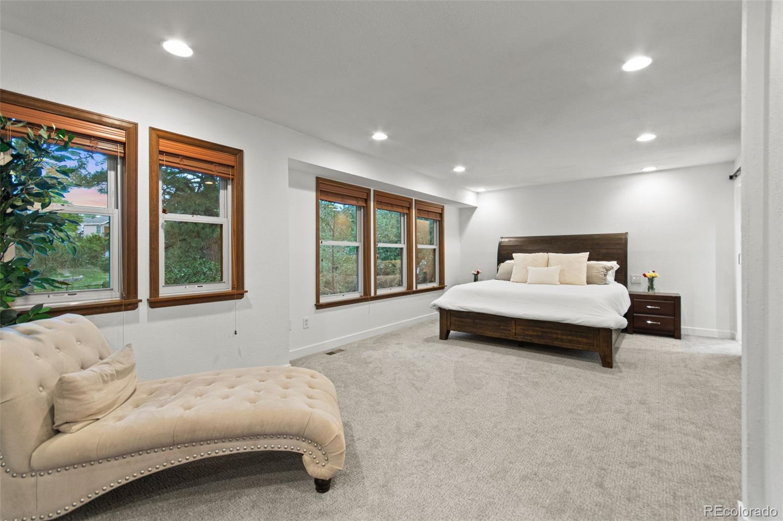 MLS Image #18 for 8453  lightening view drive,parker, Colorado