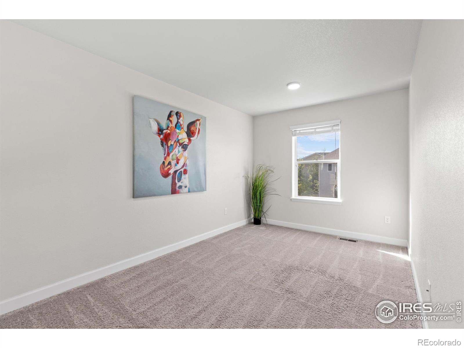 MLS Image #17 for 1365  15th avenue,longmont, Colorado
