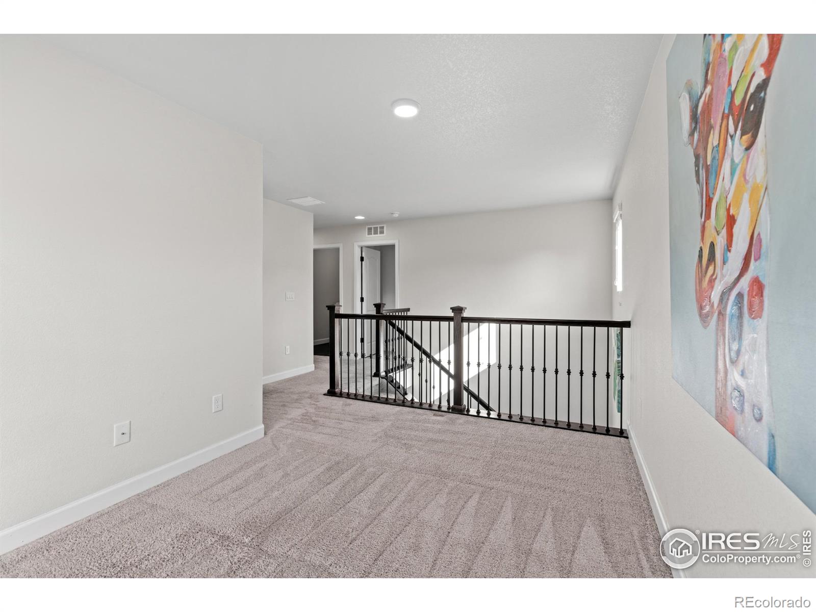 MLS Image #18 for 1365  15th avenue,longmont, Colorado