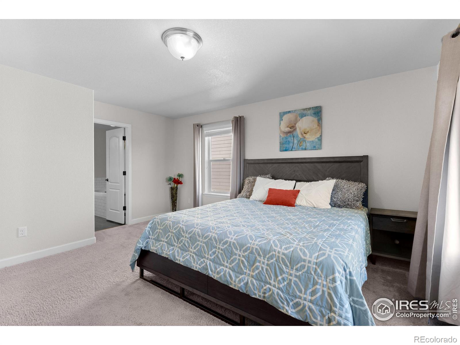 MLS Image #26 for 1365  15th avenue,longmont, Colorado