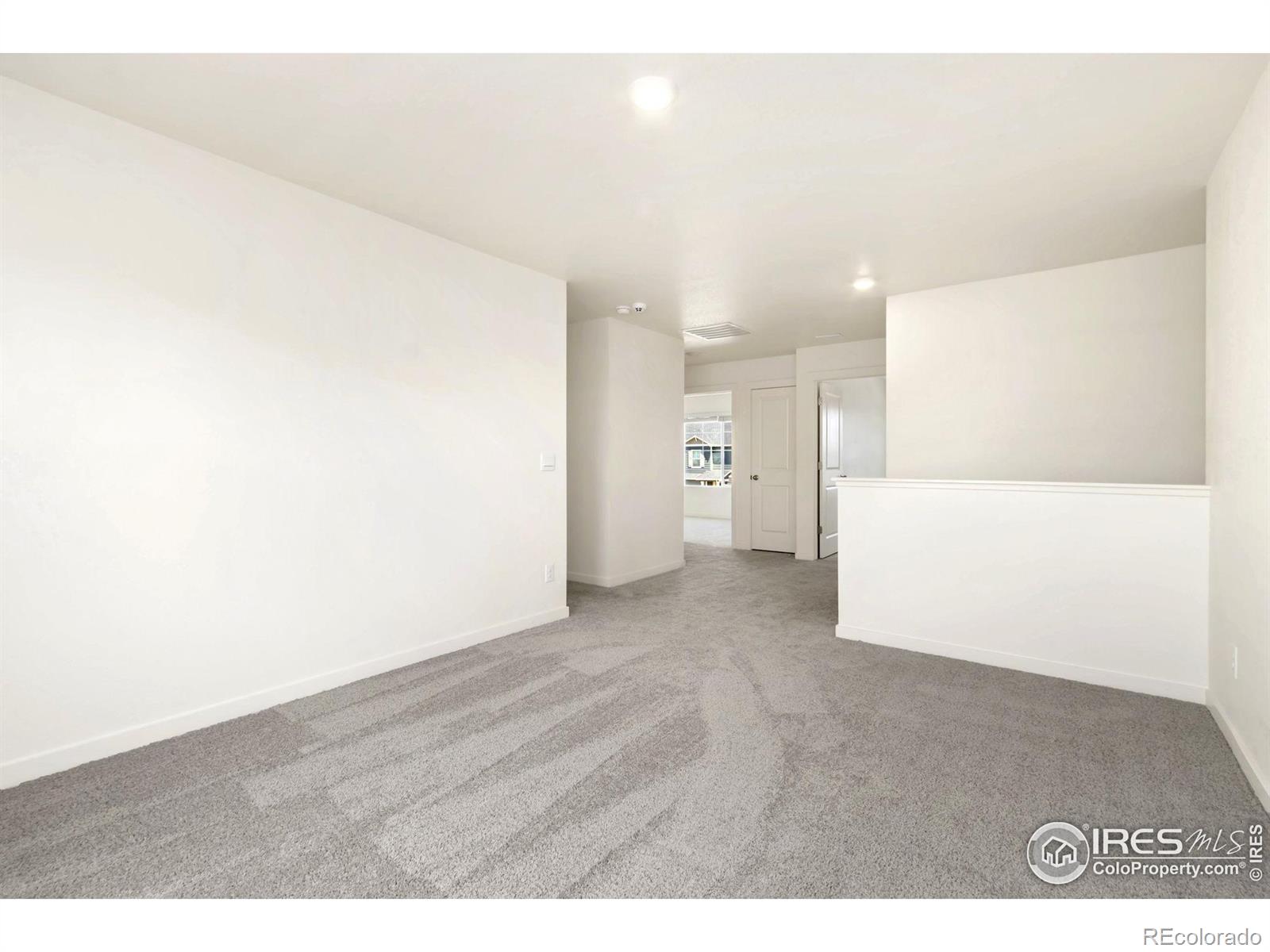 MLS Image #17 for 3713  catmint street,wellington, Colorado
