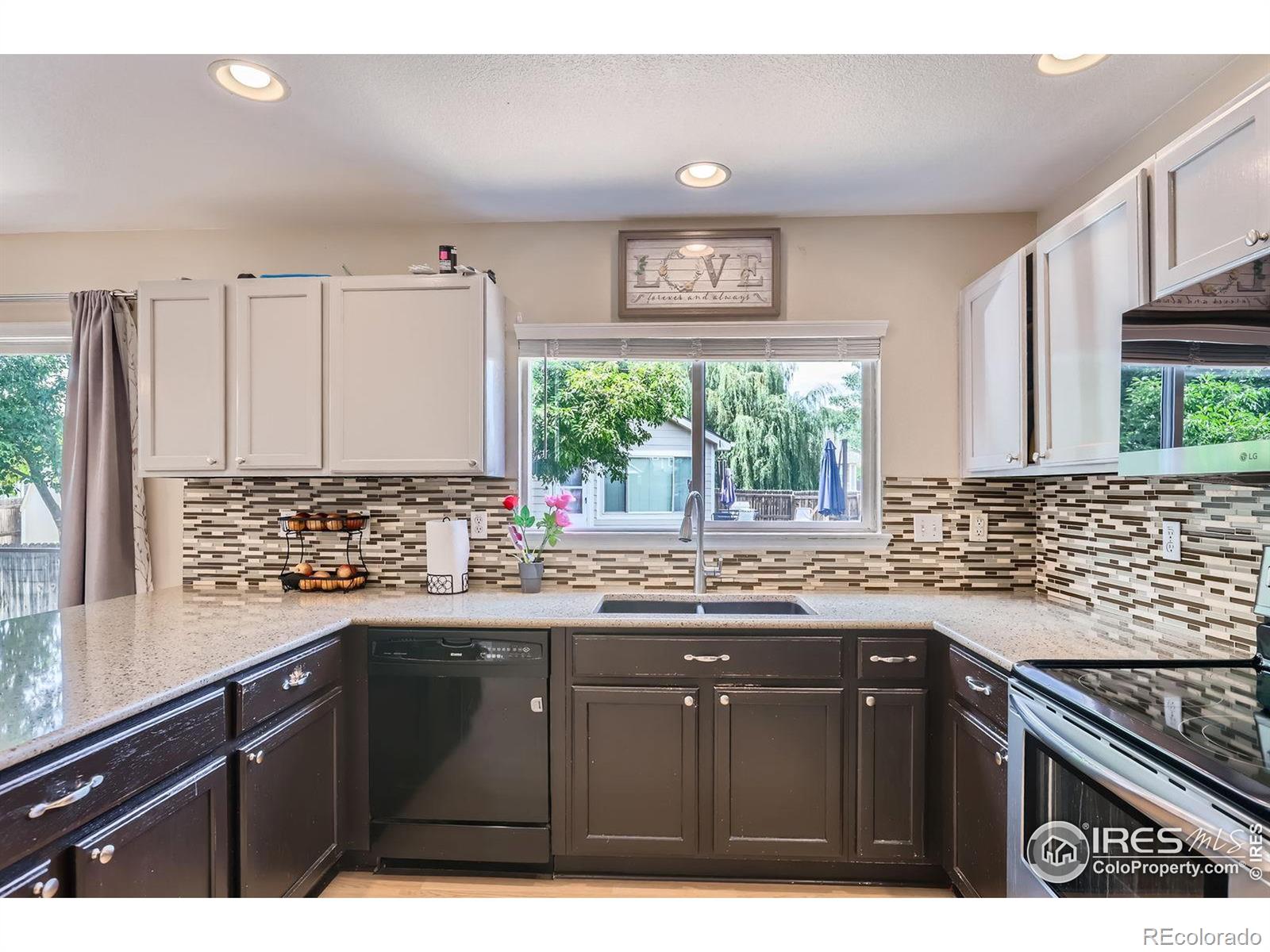 MLS Image #12 for 1747  daisy court,brighton, Colorado