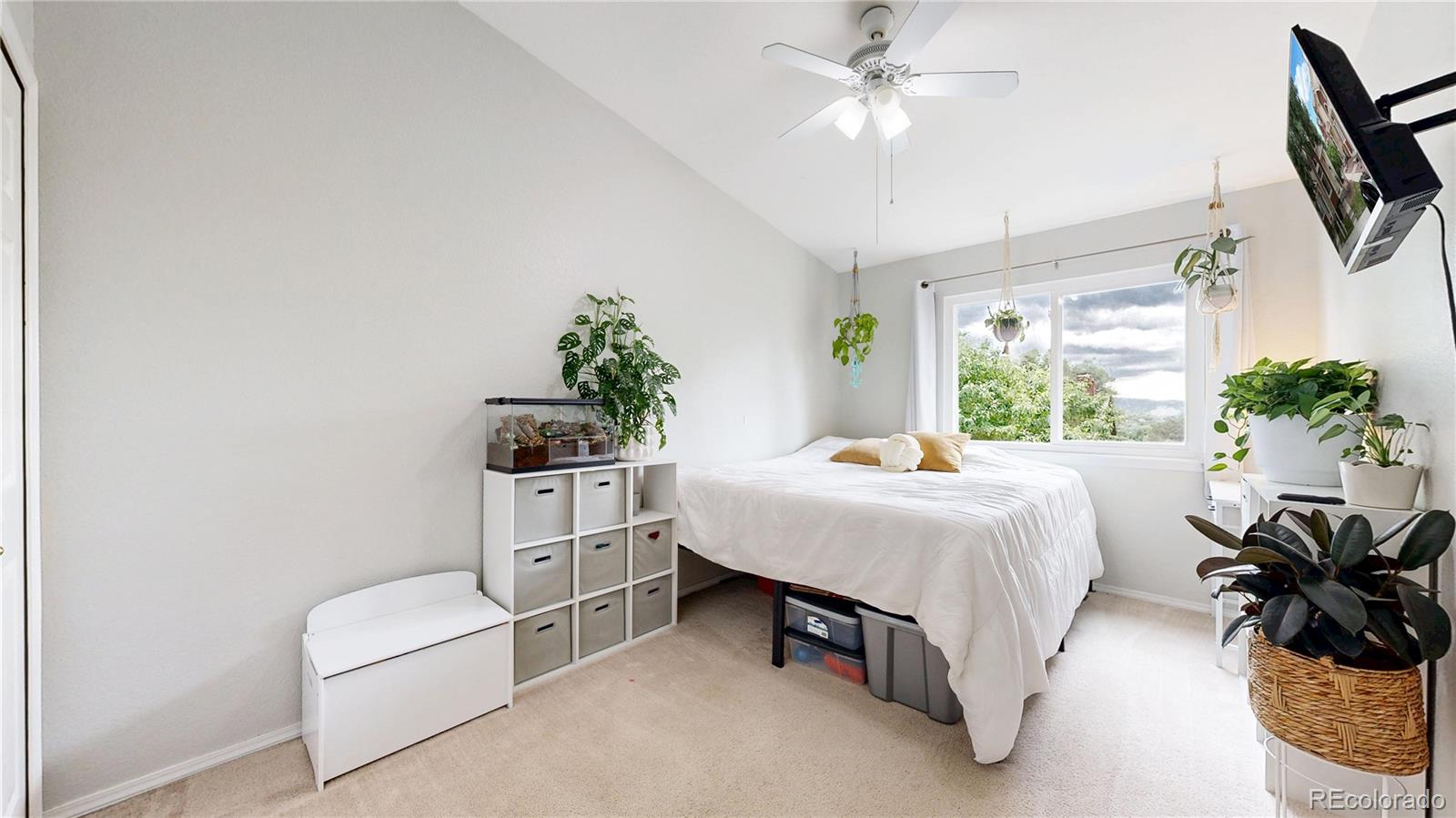 MLS Image #21 for 2593  mesa springs view,colorado springs, Colorado