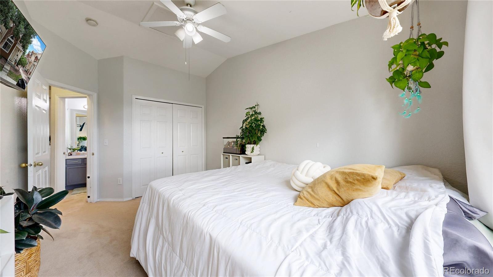 MLS Image #23 for 2593  mesa springs view,colorado springs, Colorado