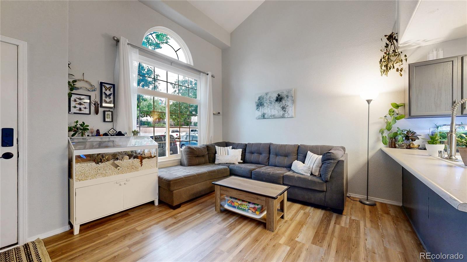 MLS Image #4 for 2593  mesa springs view,colorado springs, Colorado
