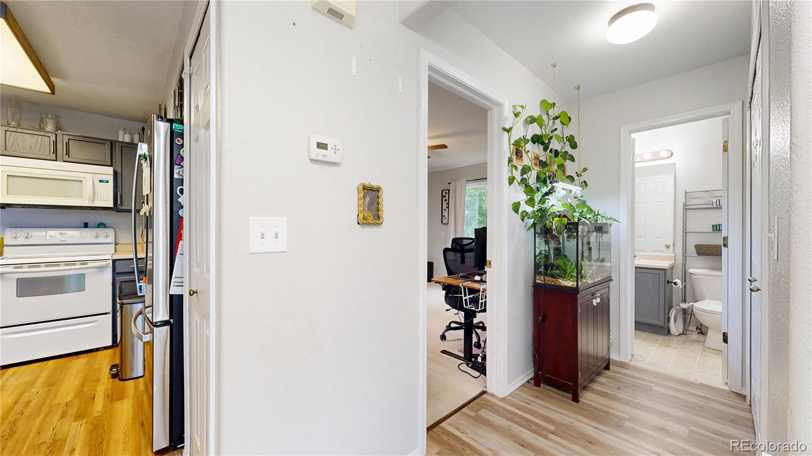 MLS Image #9 for 2593  mesa springs view,colorado springs, Colorado