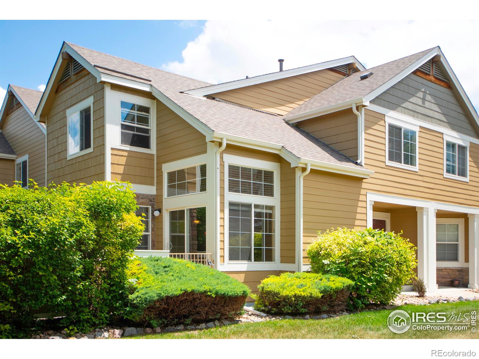 MLS Image #0 for 805  summer hawk drive,longmont, Colorado