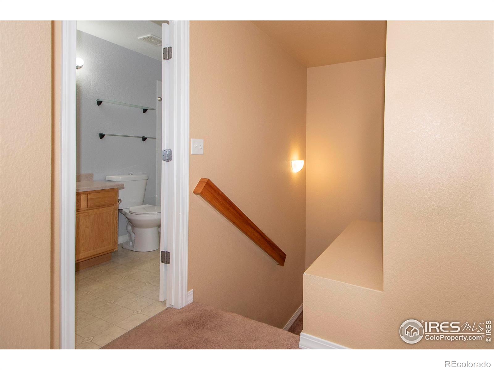 MLS Image #11 for 805  summer hawk drive,longmont, Colorado
