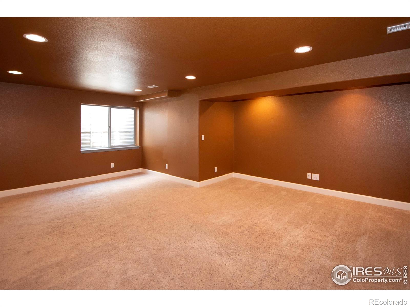 MLS Image #14 for 805  summer hawk drive,longmont, Colorado