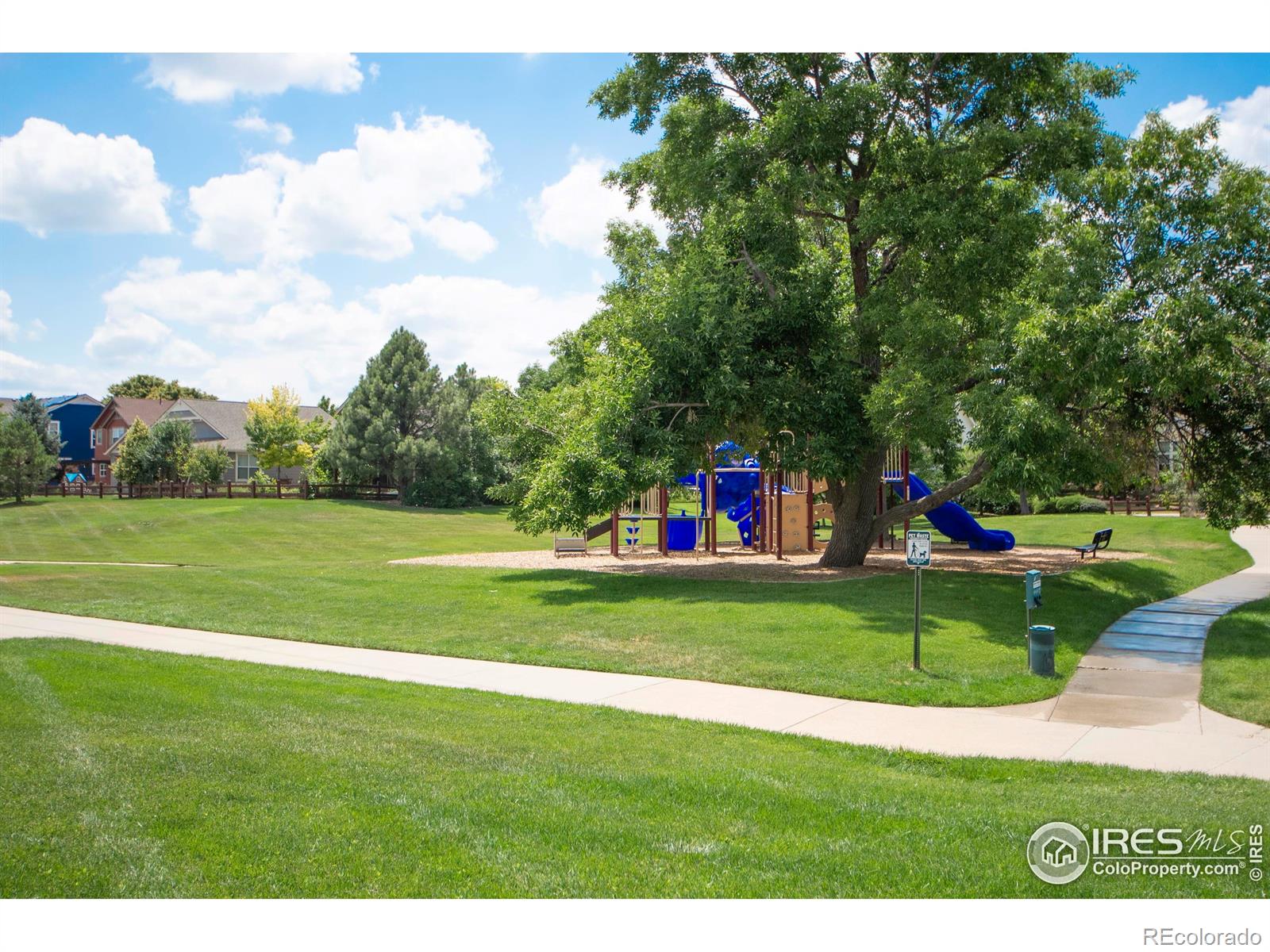 MLS Image #19 for 805  summer hawk drive,longmont, Colorado