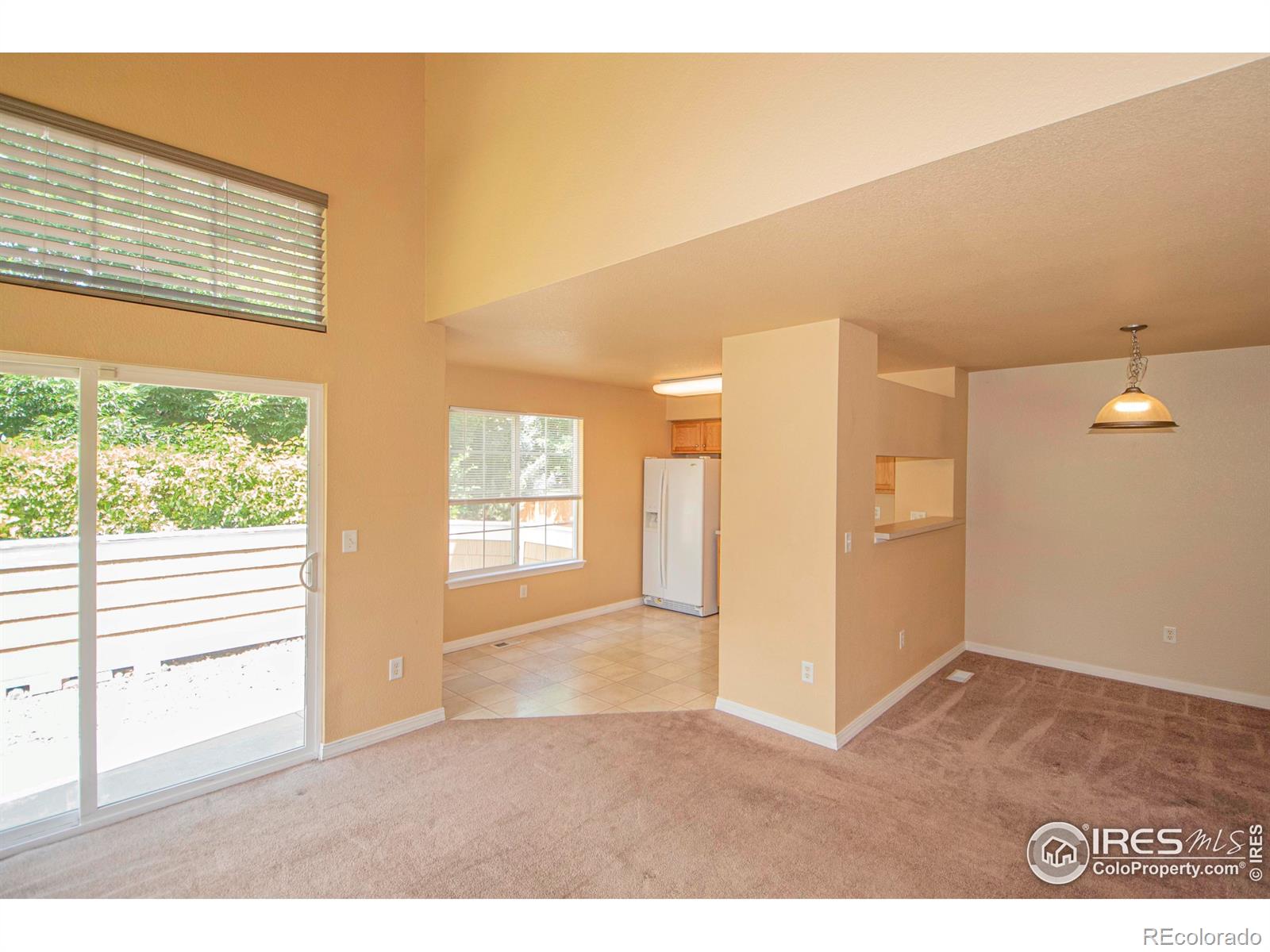 MLS Image #4 for 805  summer hawk drive,longmont, Colorado
