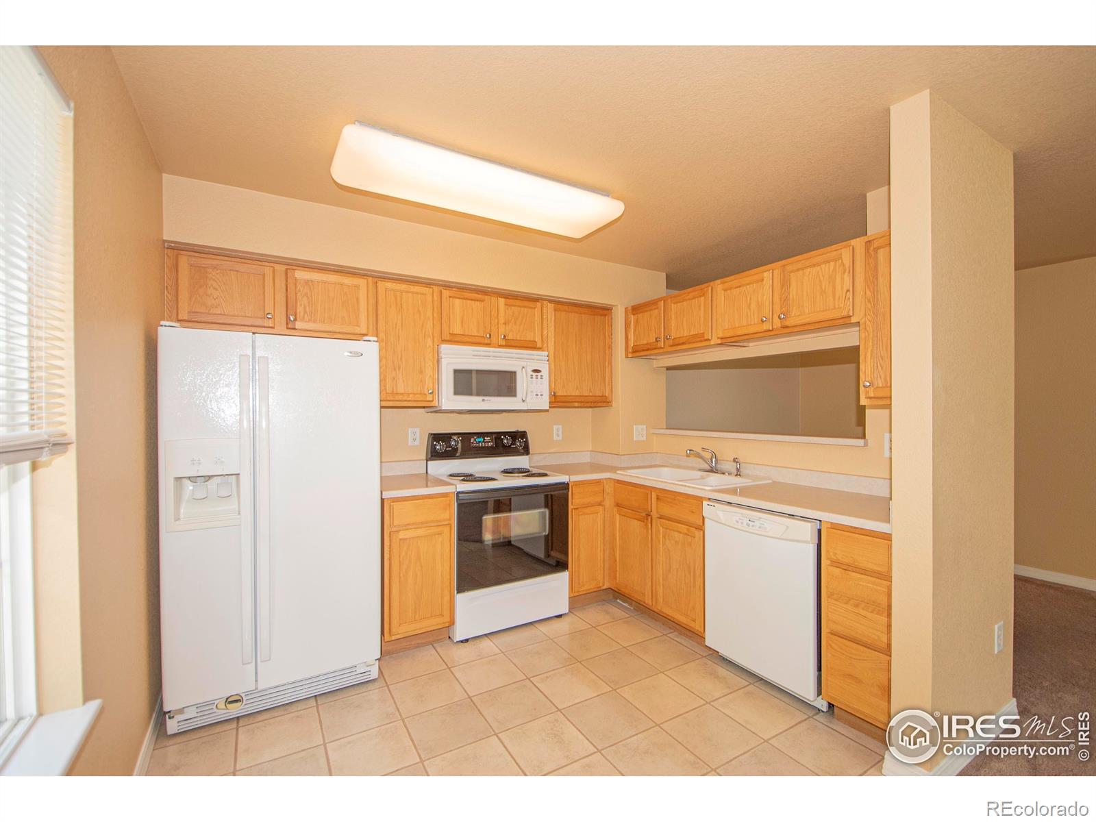 MLS Image #5 for 805  summer hawk drive,longmont, Colorado
