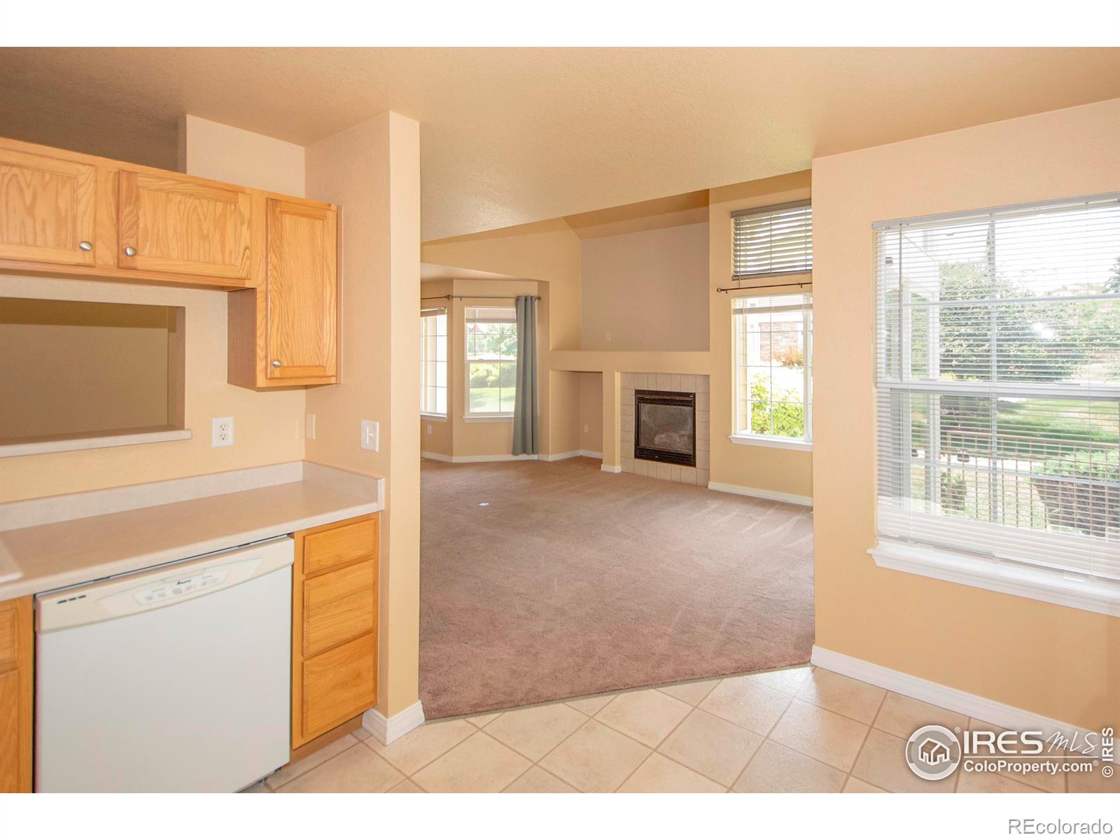 MLS Image #6 for 805  summer hawk drive,longmont, Colorado