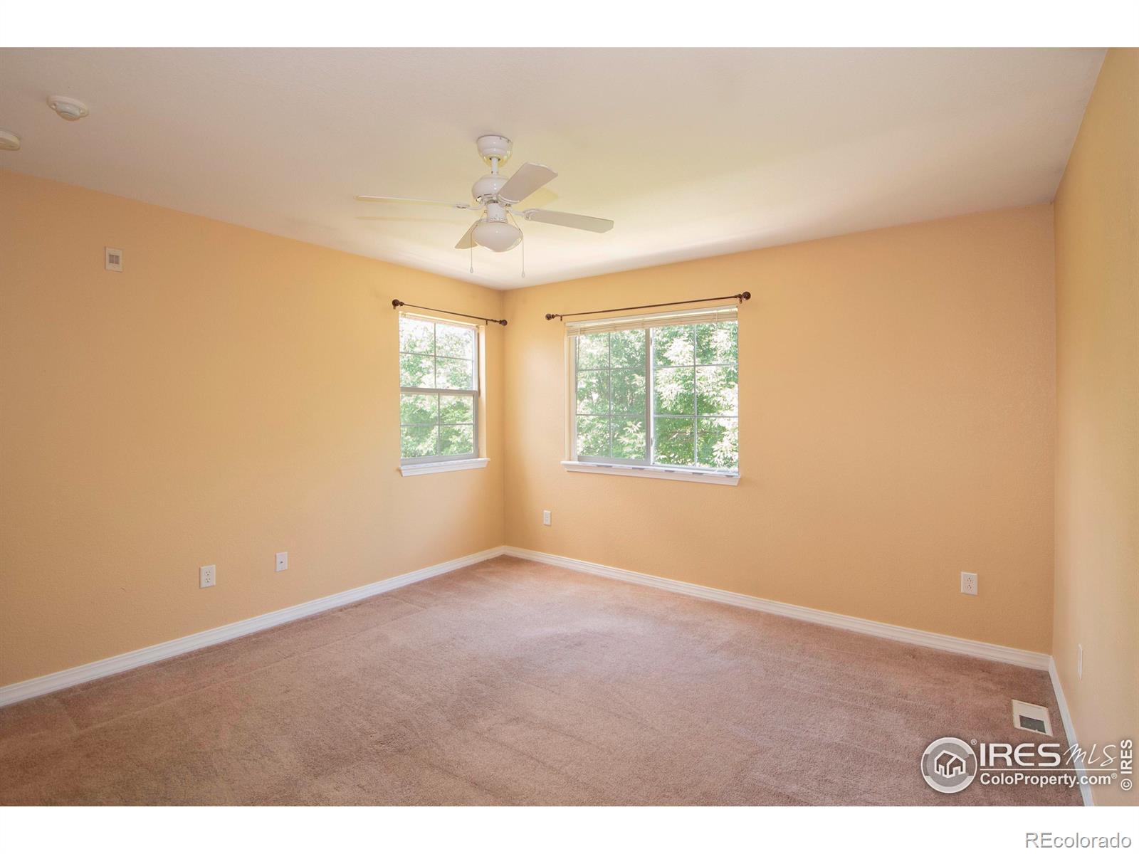 MLS Image #8 for 805  summer hawk drive,longmont, Colorado