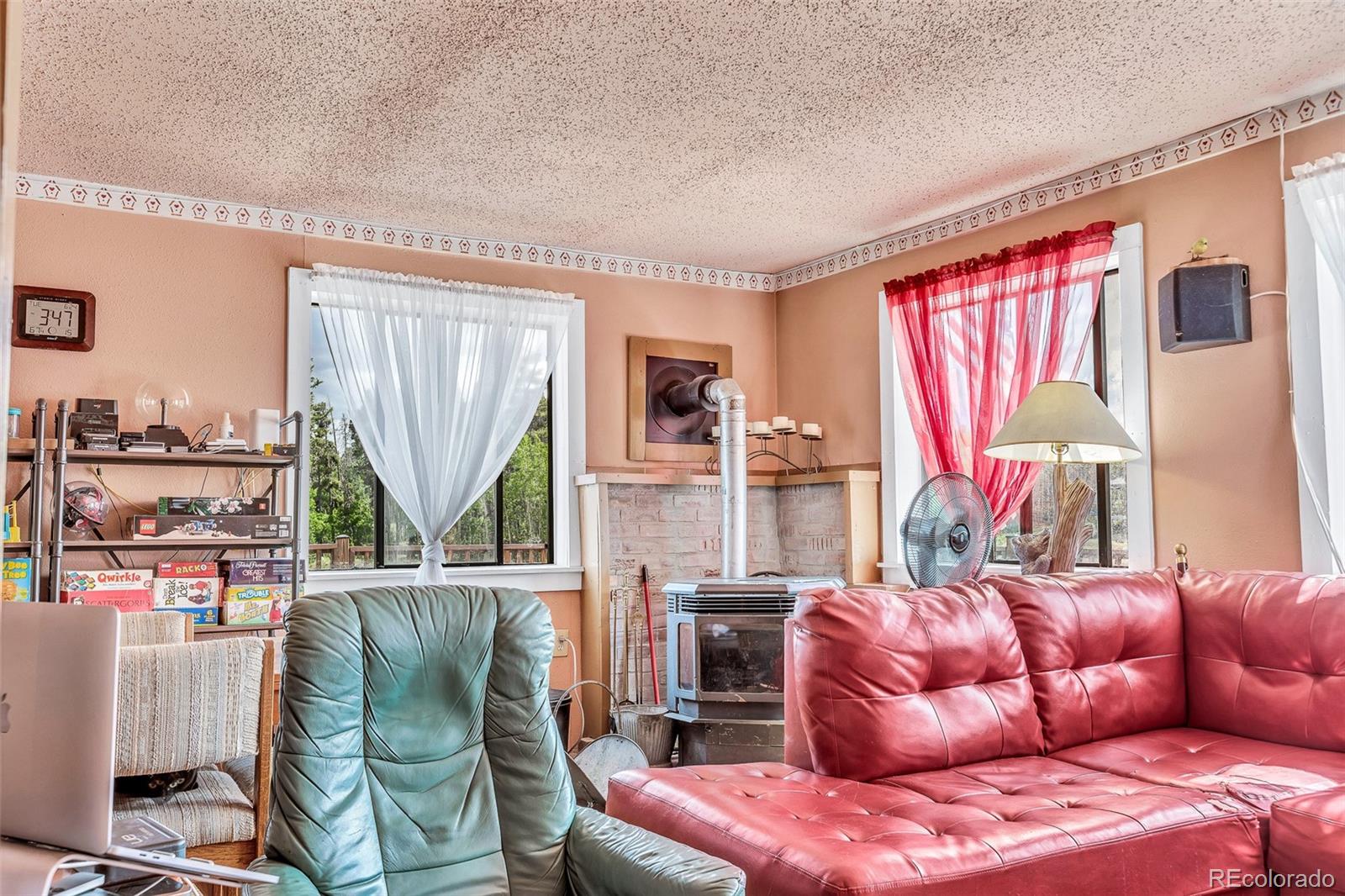 MLS Image #10 for 237  foxtail court,fairplay, Colorado