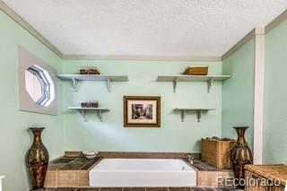 MLS Image #11 for 237  foxtail court,fairplay, Colorado